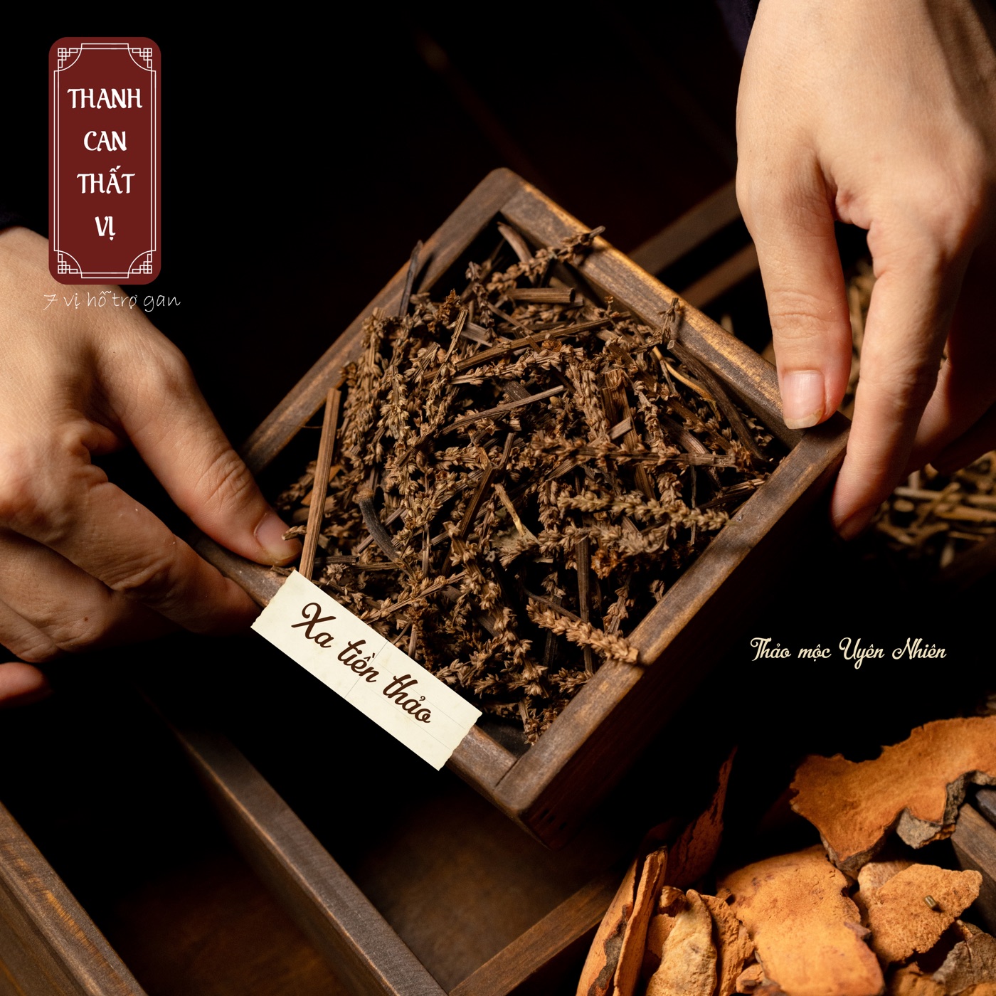 Thảo mộc trà Thanh Can Thất Vị